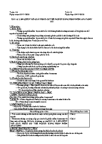 Giáo án phát triển năng lực Tin học 8 theo CV3280 - Tiết 19+20, Bài 10: Làm quen với giải phẩu cơ thể người bằng phần mềm Anatomy (Tiếp theo) - Năm học 2020-2021