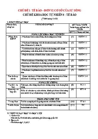 Giáo án Khoa học tự nhiên Lớp 6 Sách Chân trời sáng tạo - Phần: Sinh học - Chủ đề 1: Tế bào