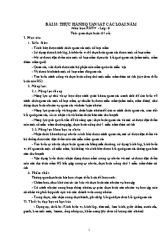 Giáo án Khoa học tự nhiên Lớp 6 Sách Kết nối tri thức với cuộc sống - Chương 7 - Bài 33: Thực hành quan sát các loại nấm