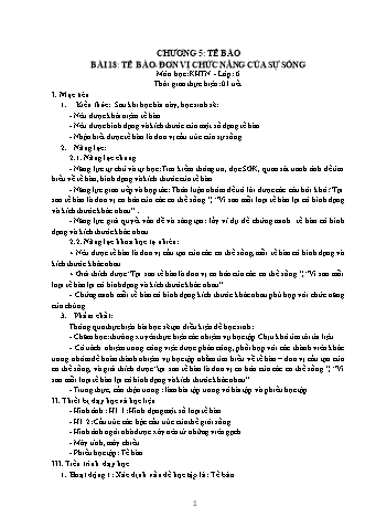 Giáo án Khoa học tự nhiên Lớp 6 Sách Kết nối tri thức với cuộc sống - Chương 5 - Bài 18: Tế bào. Đơn vị chức năng của sự sống