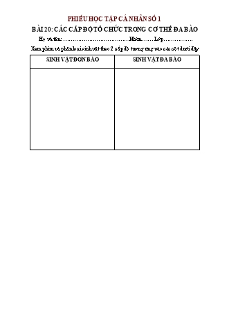 Phiếu học tập Khoa học tự nhiên Lớp 6 Sách Chân trời sáng tạo - Chủ đề 7 - Bài 20: Các cấp độ tổ chức trong cơ thể đa bào