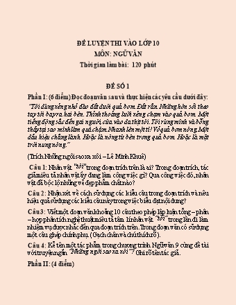 5 Đề luyện thi vào Lớp 10 môn Ngữ văn