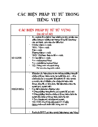 Các biện pháp tu từ trong Tiếng Việt