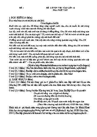 Đề luyện thi vào Lớp 10 môn Ngữ văn (Có đáp án)