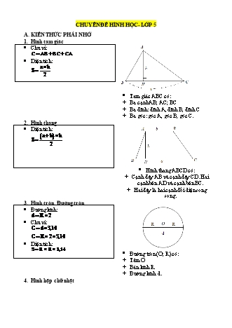Chuyên đề Hình học Lớp 5
