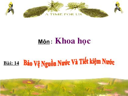 Bài giảng Khoa học Lớp 4 - Bài 14: Bảo vệ nguồn nước và tiết kiệm nước - Trường Tiểu học Tân Long Hội A