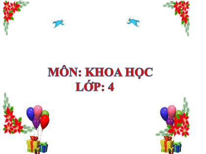 Bài giảng Khoa học Lớp 4 - Tuần 9 - Bài: Phòng tránh tai nạn đuối nước - Trường Tiểu học Tân Long Hội A