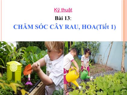 Bài giảng Kỹ thuật Lớp 4 - Tuần 24 - Bài 13: Chăm sóc cây rau, hoa (Tiết 1) - Trường Tiểu học Tân Long Hội A