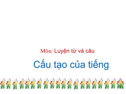 Bài giảng Luyện từ và câu Lớp 4 - Bài: Cấu tạo của tiếng - Trường Tiểu học Tân Long Hội A