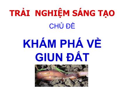 Bài giảng Sinh học Lớp 7 - Chủ đề: Trải nghiệm sáng tạo. Khám phá về giun đất - Năm học 2020-2021 - Phan Thanh Toàn
