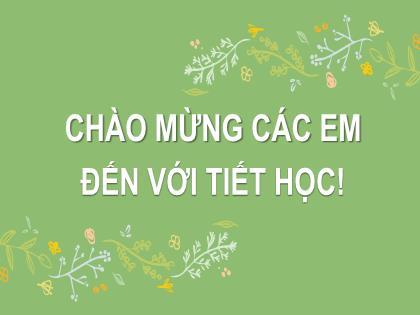 Bài giảng Toán Lớp 6 - Bài 2: So sánh các phân số. Hỗn số dương (2 tiết)