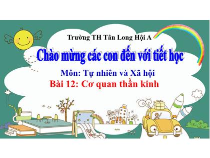 Bài giảng Tự nhiên và Xã hội Lớp 3 - Bài 12: Cơ quan thần kinh - Trường Tiểu học Tân Long Hội A