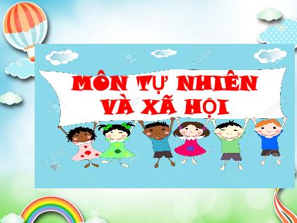 Bài giảng Tự nhiên và Xã hội Lớp 3 - Bài: Hoạt động bài tiết nước tiểu - Trường Tiểu học Tân Long Hội A
