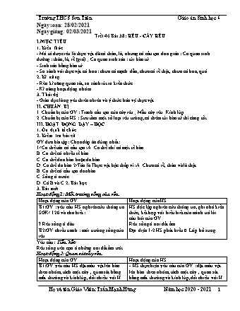 Giáo án Sinh học Lớp 6 - Bài 38+39: Rêu - Cây rêu. Quyết – Cây dương xỉ - Năm học 2020-2021 - Trần Mạnh Hùng