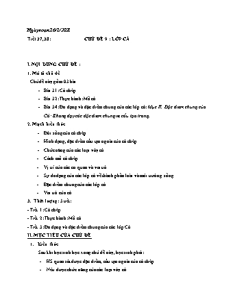 Giáo án Sinh học Lớp 7 - Bài 31+32: Cá chép - Thực hành Mổ cá - Năm học 2020-2021 - Phan Thanh Toàn