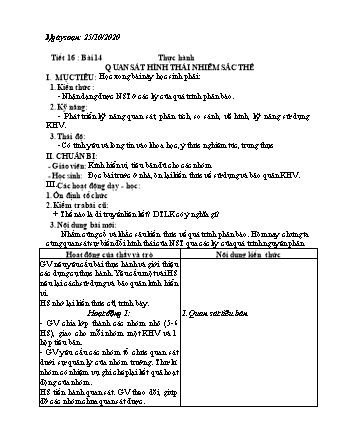 Giáo án Sinh học Lớp 9 - Bài 14+15: Thực hành Quan sát hình thái nhiễm sắc thể - ADN - Năm học 2020-2021 - Phan Thanh Toàn