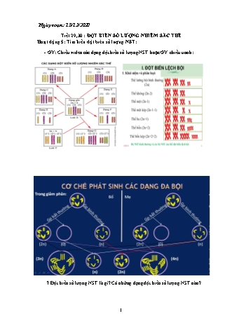 Giáo án Sinh học Lớp 9 - Tiết 29+30: Đột biến số lượng nhiễm sắc thể - Năm học 2020-2021 - Phan Thanh Toàn