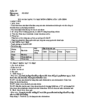 Kế hoạch bài dạy Sinh học Lớp 7 - Bài 44+46: Đa dạng và đặc điểm chung của lớp chim. Thỏ - Năm học 2021-2022 - Phan Thanh Toàn