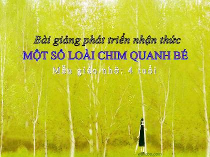 Bài giảng Mầm non Lớp Chồi - Đề tài: Một số loài chim quanh bé - Trường Mầm non Ba Trại B