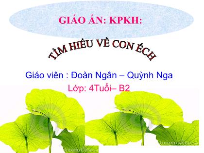 Bài giảng Mầm non Lớp Chồi - Đề tài: Tìm hiểu về con ếch - Đoàn Ngân