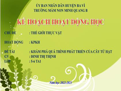 Bài giảng Mầm non Lớp Lá - Chủ đề: Thế giới thực vật - Đề tài: Khám phá quá trình phát triển của cây từ hạt - Năm học 2022-2023 - Đinh Thị Thịnh