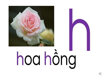 Bài giảng Mầm non Lớp Lá - Đề tài: Làm quen với chữ cái h, k - Trường Mầm non Ba Trại B