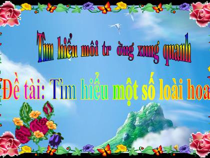 Bài giảng Mầm non Lớp Lá - Đề tài: Tìm hiểu một số loài hoa - Trường Mầm non Ba Trại B