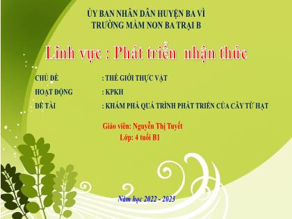 Bài giảng Mầm non Lớp Mầm - Chủ đề: Thế giới thực vật - Đề tài: Thí nghiệm “Sự kì diệu của nước” - Năm học 2022-2023 - Nguyễn Thị Tuyết