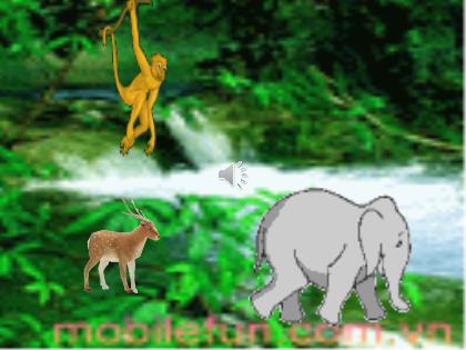 Bài giảng Mầm non Lớp Mầm - Đề tài: Động vật sống trong rừng - Trường Mầm non Ba Trại B