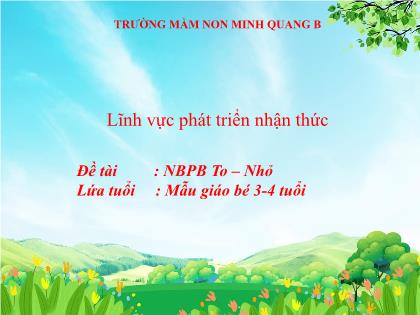 Bài giảng Mầm non Lớp Mầm - Đề tài: Nhận biết phân biệt To–Nhỏ - Trường Mầm non Minh Quang B