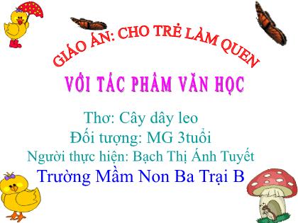 Bài giảng Mầm non Lớp Mầm - Đề tài: Thơ: Cây dây leo - Bạch Thị Ánh Tuyết