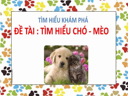 Bài giảng Mầm non Lớp Mầm - Đề tài: Tìm hiểu chó-mèo - Trường Mầm non Ba Trại B