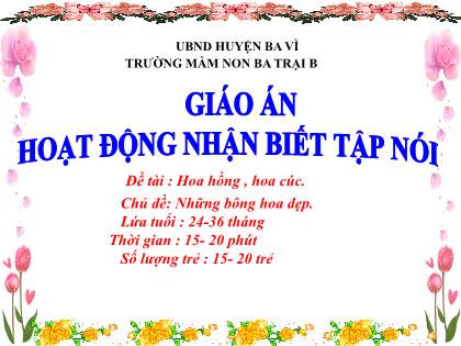 Bài giảng Mầm non Lớp Nhà trẻ - Chủ đề: Những bông hoa đẹp - Đề tài: Hoa hồng, hoa cúc - Trường Mầm non Ba Trại B