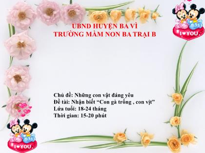 Bài giảng Mầm non Lớp Nhà trẻ - Chủ đề: Những con vật đáng yêu - Đề tài: Nhận biết “Con gà trống, con vịt” - Trường Mầm non Ba Trại B
