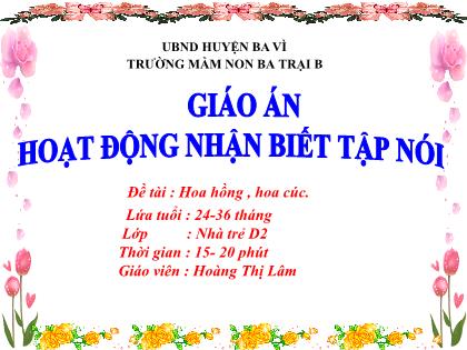 Bài giảng Mầm non Lớp Nhà trẻ - Đề tài: Hoa hồng, hoa cúc - Hoàng Thị Lâm