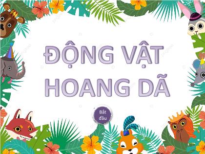 Mẫu trò chơi PowerPoint - Trò chơi: Động vật hoang dã