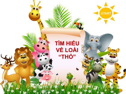 Mẫu trò chơi PowerPoint - Trò chơi: Tìm hiểu về loài “thỏ”